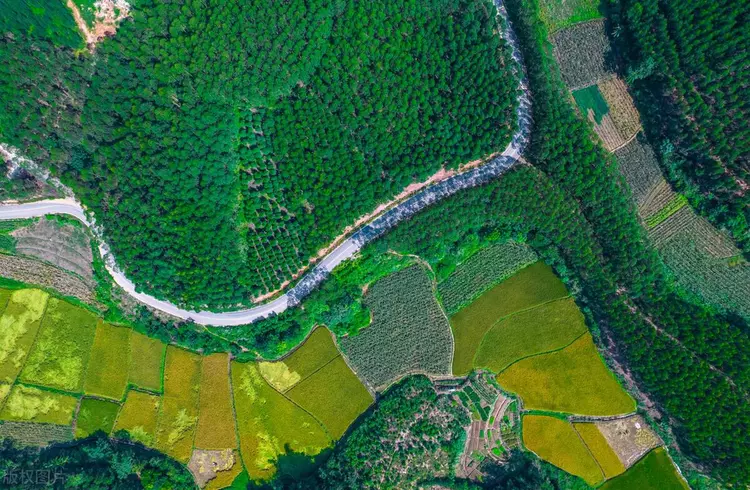 圖片包含 綠色, 蛋糕, 桌子, 游戲機
描述已自動生成