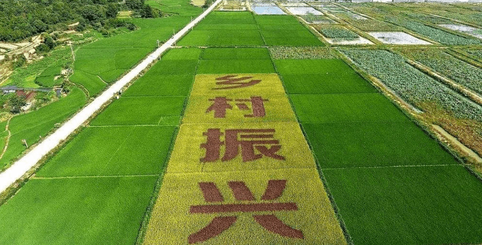 人民日?qǐng)?bào)&ldquo;鄉(xiāng)村振興計(jì)劃&rdquo;為何看上他？_直播_行業(yè)_農(nóng)產(chǎn)品